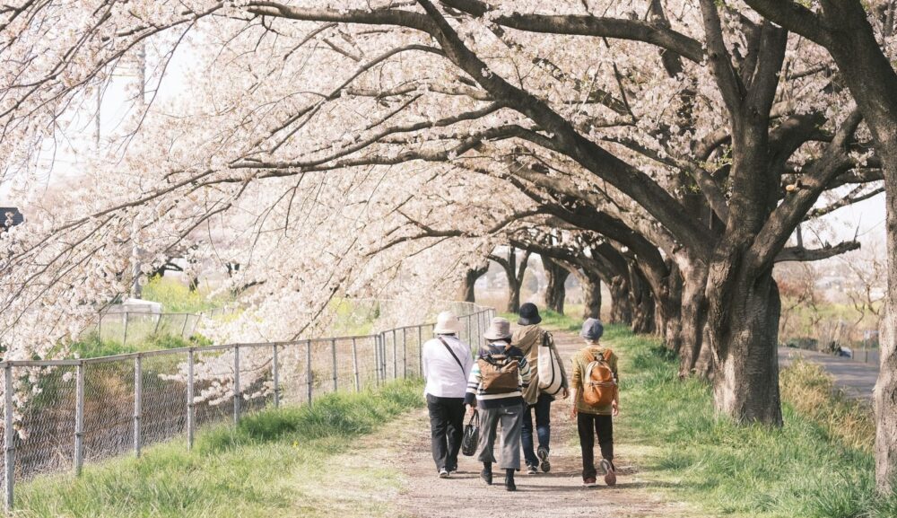 当社人気No１【外出サポート】